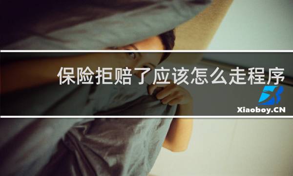 保险拒赔了应该怎么走程序