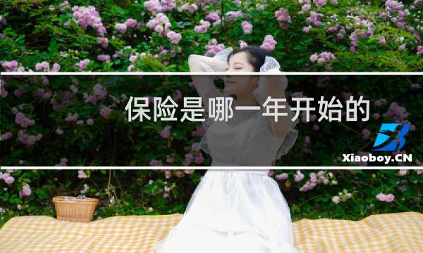 保险是哪一年开始的图片