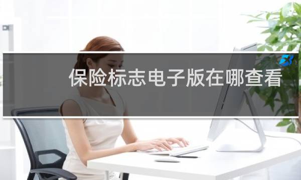 保险标志电子版在哪查看