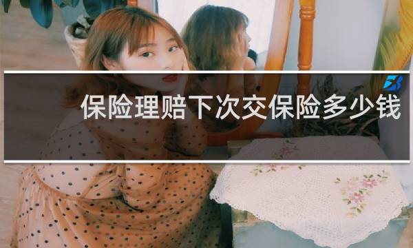 保险理赔下次交保险多少钱