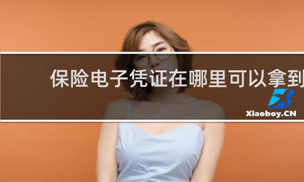 保险电子凭证在哪里可以拿到
