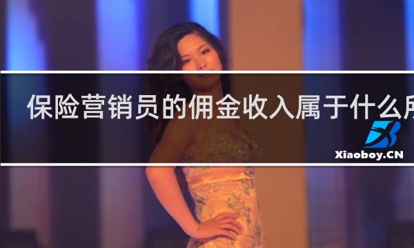 保险营销员的佣金收入属于什么所得图片