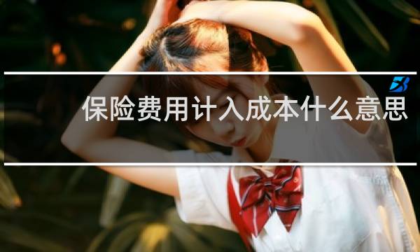 保险费用计入成本什么意思图片