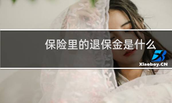 保险里的退保金是什么