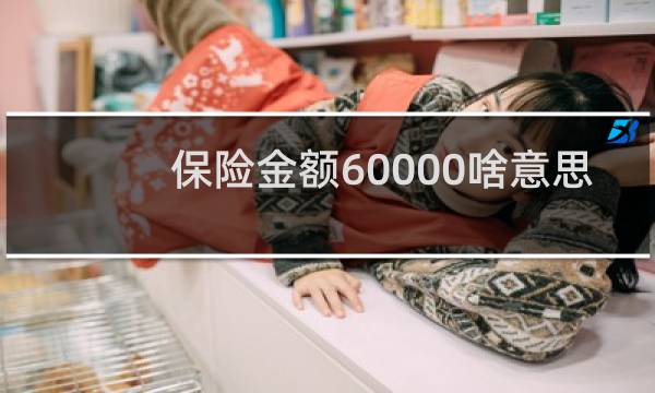 保险金额60000啥意思