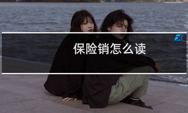 保险销怎么读