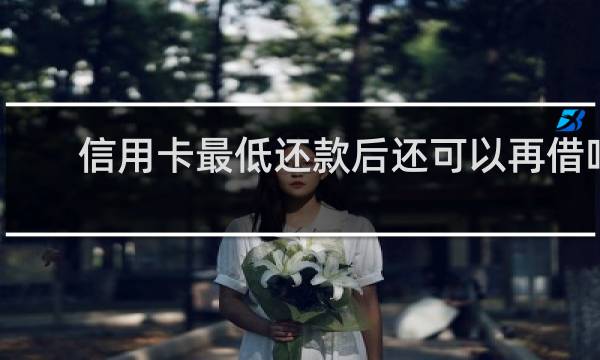 信用卡最低还款后还可以再借吗