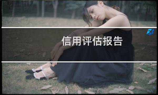 信用评估报告图片