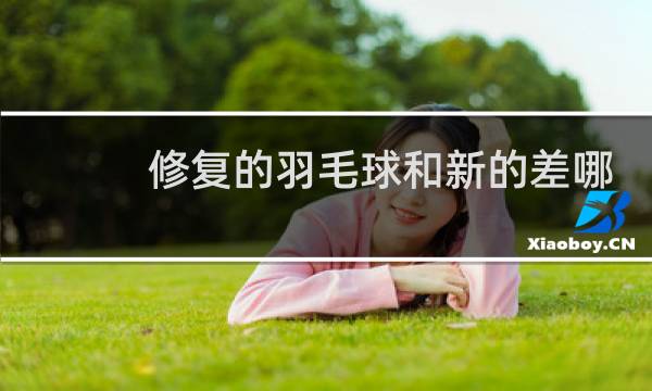 修复的羽毛球和新的差哪