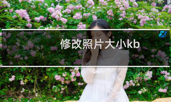 修改照片大小kb（修改照片大小）