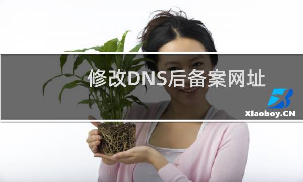 修改DNS后备案网址也无法打开