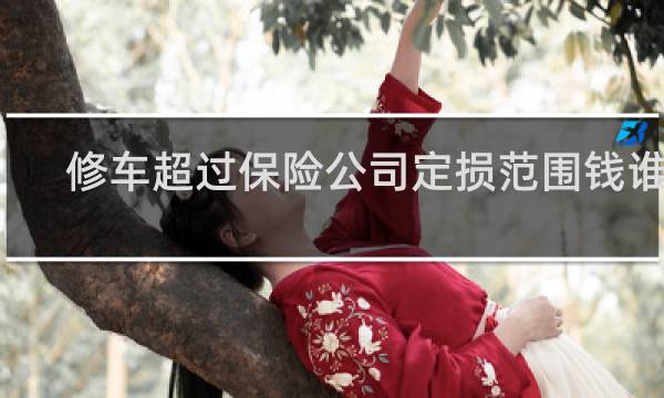 修车超过保险公司定损范围钱谁出