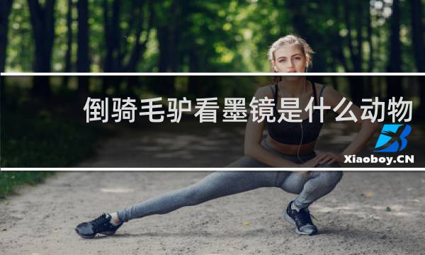 倒骑毛驴看墨镜是什么动物