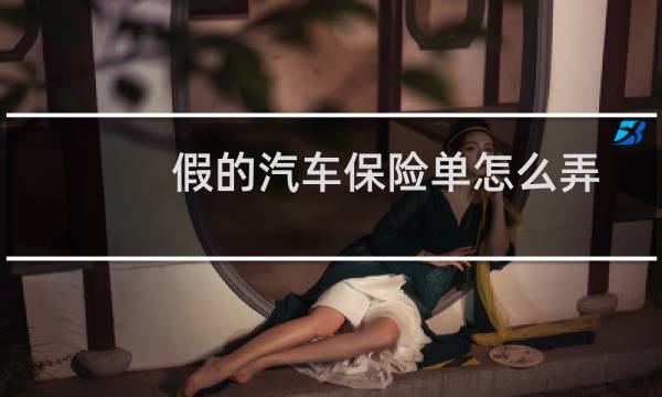 假的汽车保险单怎么弄图片