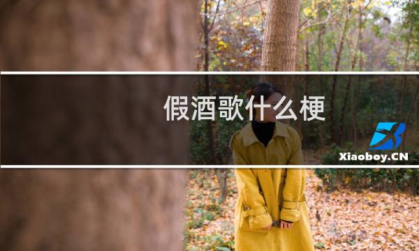 假酒歌什么梗，假酒歌是什么意思？什么梗