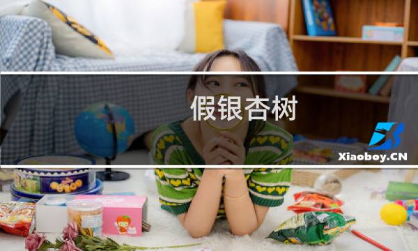 假银杏树