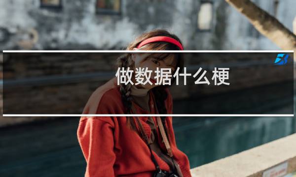 做数据什么梗