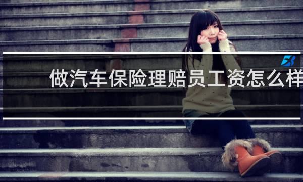 做汽车保险理赔员工资怎么样图片