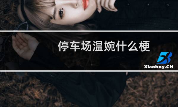 停车场温婉什么梗