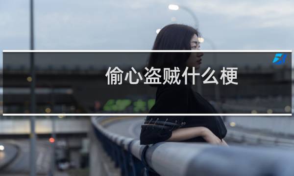 偷心盗贼什么梗