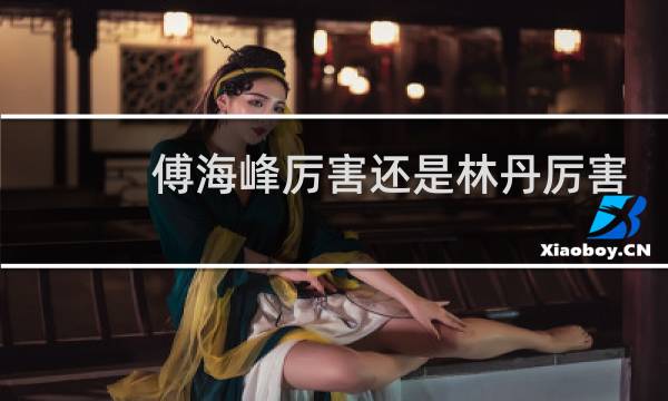 傅海峰厉害还是林丹厉害