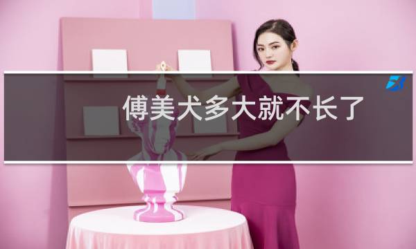 傅美犬多大就不长了