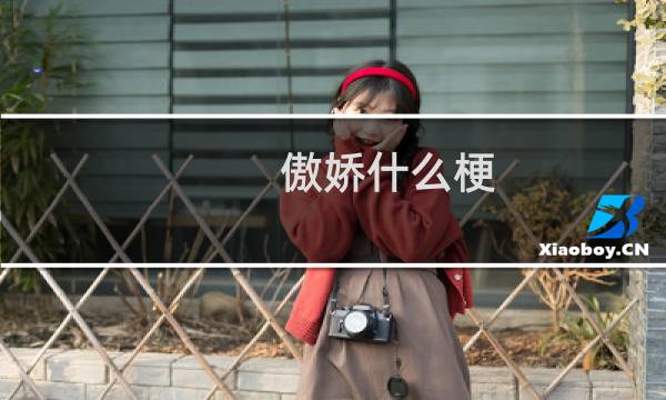傲娇什么梗？什么梗