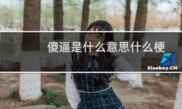 傻逼是什么意思什么梗