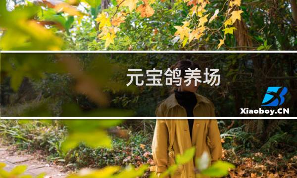 元宝鸽养场