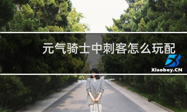 元气骑士中刺客怎么玩配的武器是什么