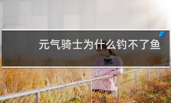 元气骑士为什么钓不了鱼