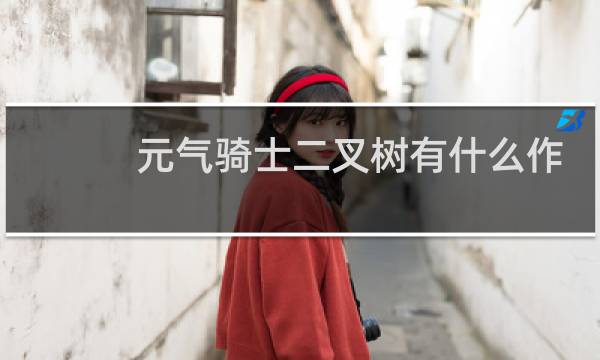 元气骑士二叉树有什么作用