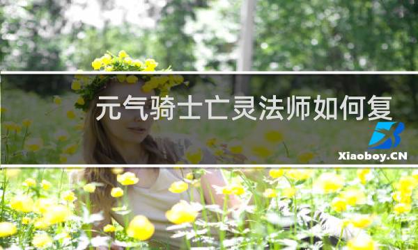 元气骑士亡灵法师如何复活boss