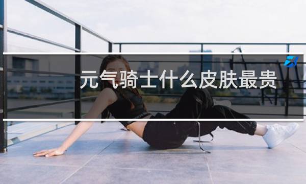 元气骑士什么皮肤最贵