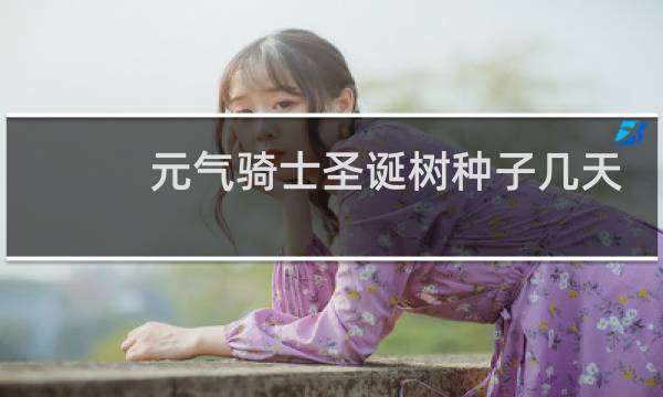 元气骑士圣诞树种子几天成熟