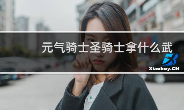 元气骑士圣骑士拿什么武器好