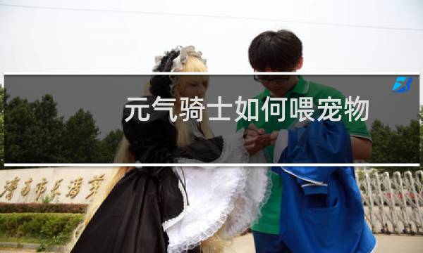 元气骑士如何喂宠物
