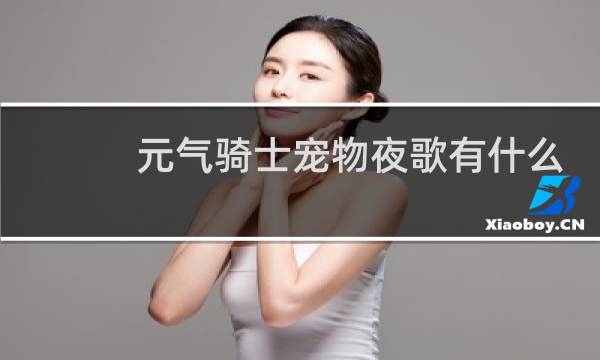 元气骑士宠物夜歌有什么用