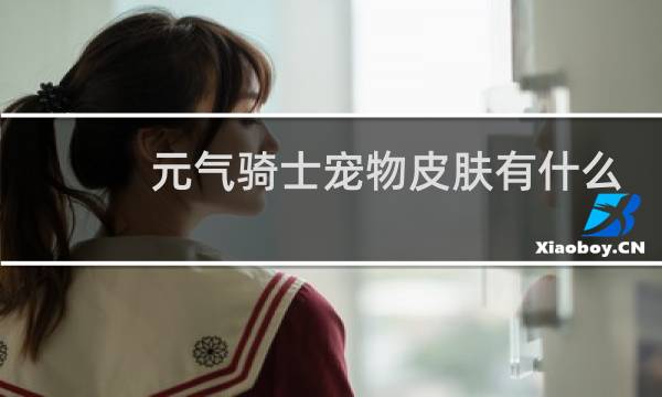 元气骑士宠物皮肤有什么用