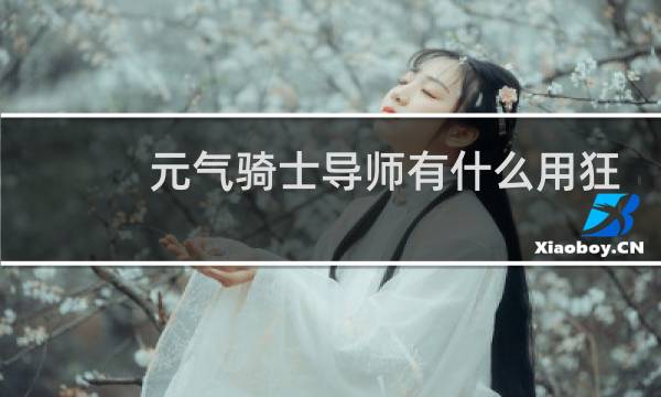 元气骑士导师有什么用狂战士