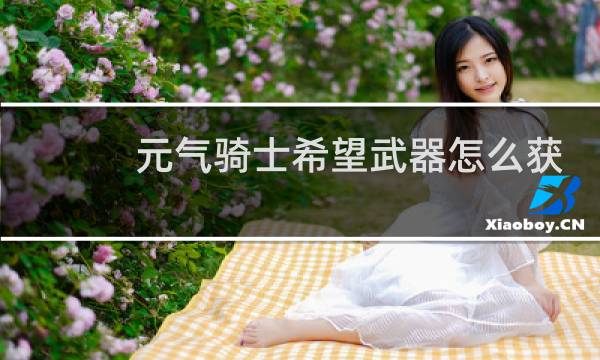 元气骑士希望武器怎么获得图片