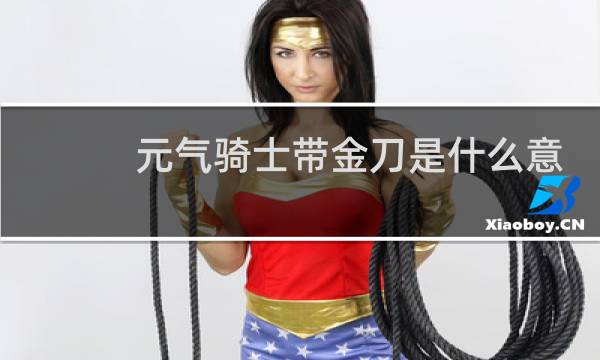 元气骑士带金刀是什么意思