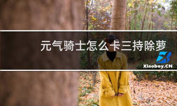 元气骑士怎么卡三持除萝卜之外