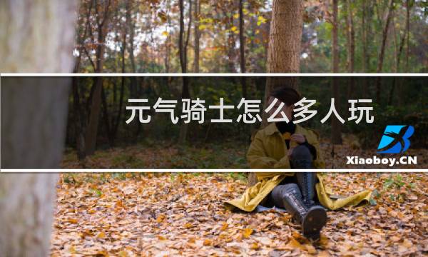 元气骑士怎么多人玩