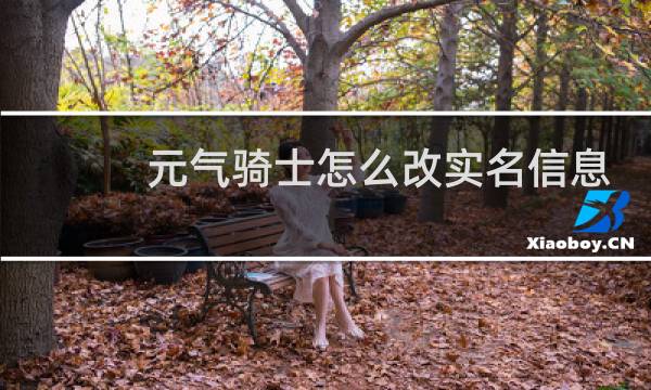 元气骑士怎么改实名信息