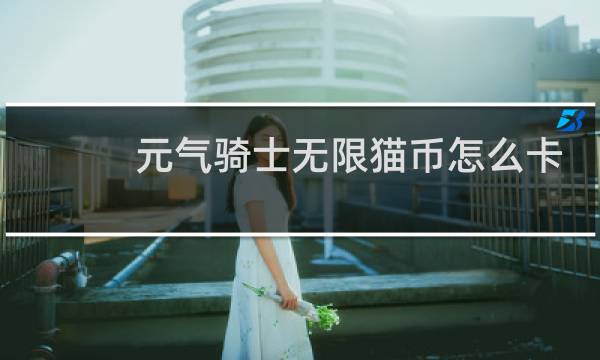 元气骑士无限猫币怎么卡