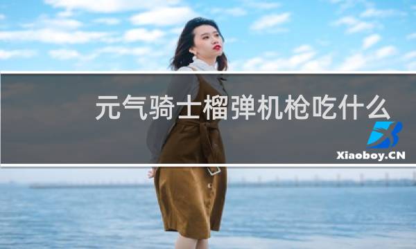 元气骑士榴弹机枪吃什么天赋