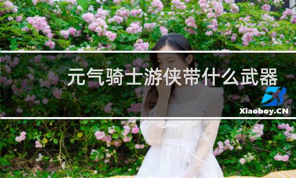 元气骑士游侠带什么武器