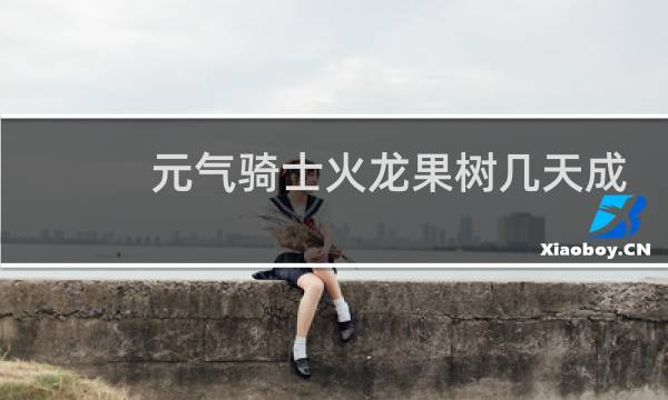 元气骑士火龙果树几天成熟
