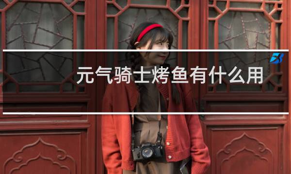 元气骑士烤鱼有什么用